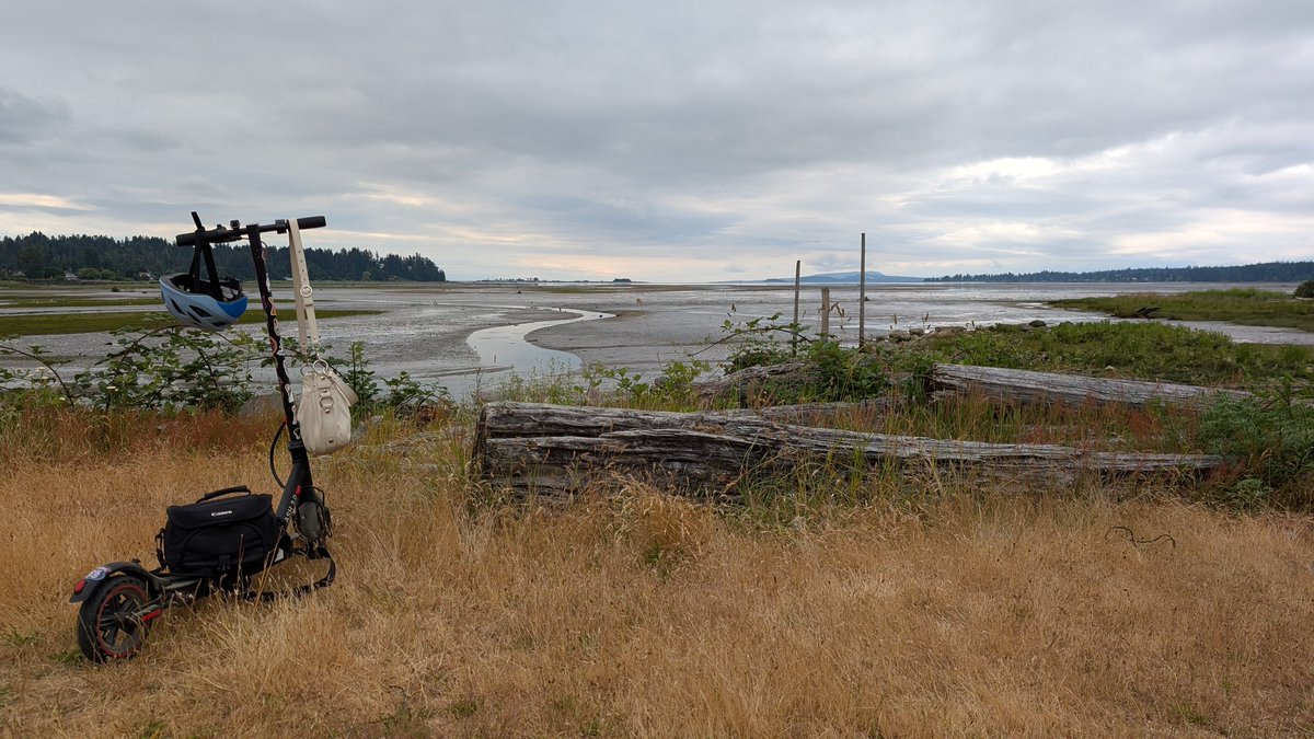 Nixee15's tweet photo. Little morning scooter ride and nature photography to start this morning off - Vancouver Island is so damn beautiful even on an overcast day 💙💐🦅 https://t.co/T8VcEqVwi1