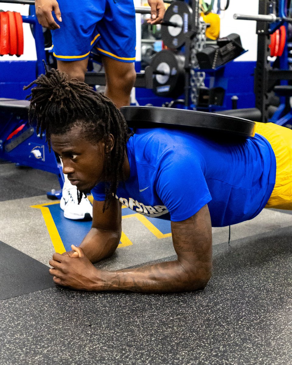 HofstraMBB's tweet photo. 🧱 by 🧱

#PrideOfLI https://t.co/B2XADavXE5