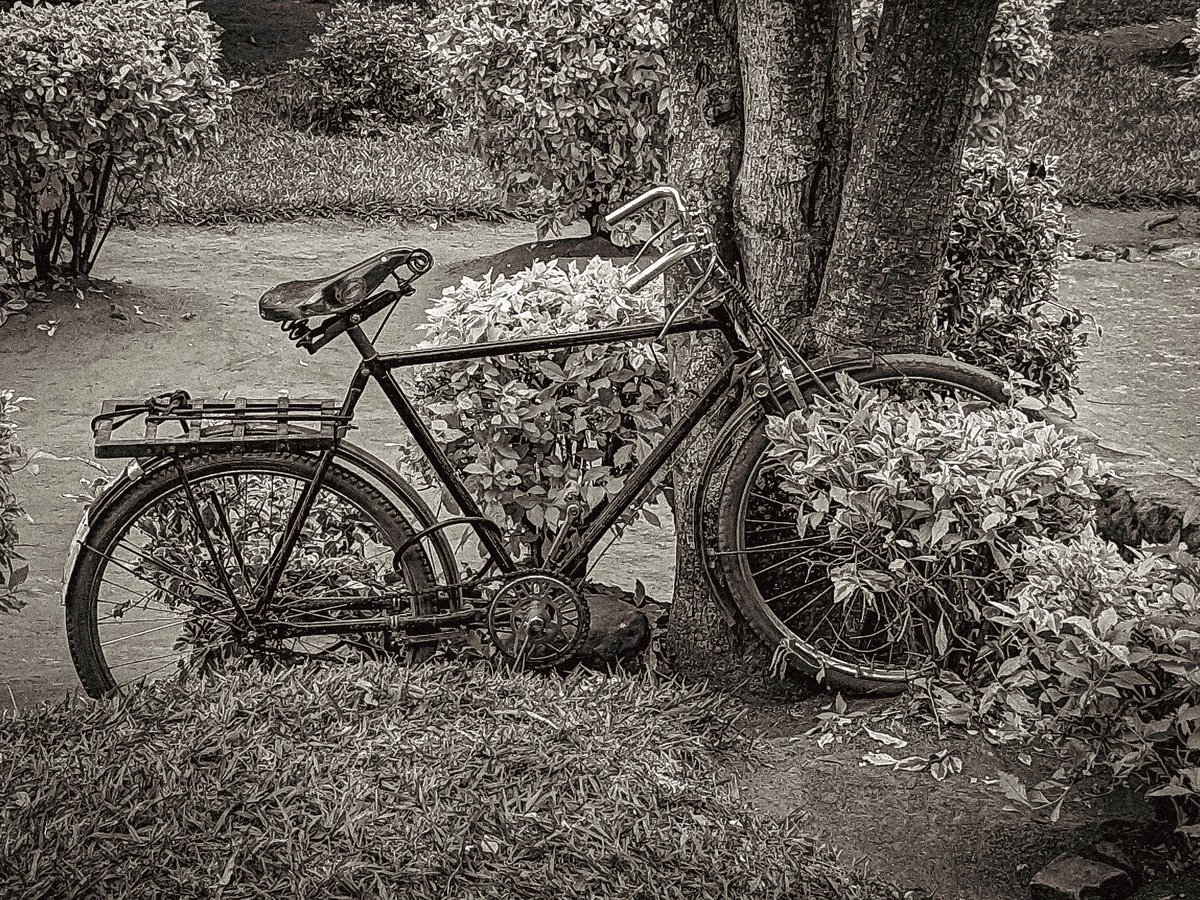BrianDGandy's tweet photo. Today’s photography theme is BICYCLE

Show me an BICYCLE image

#photographychallenge https://t.co/9eNHQr4s1J
