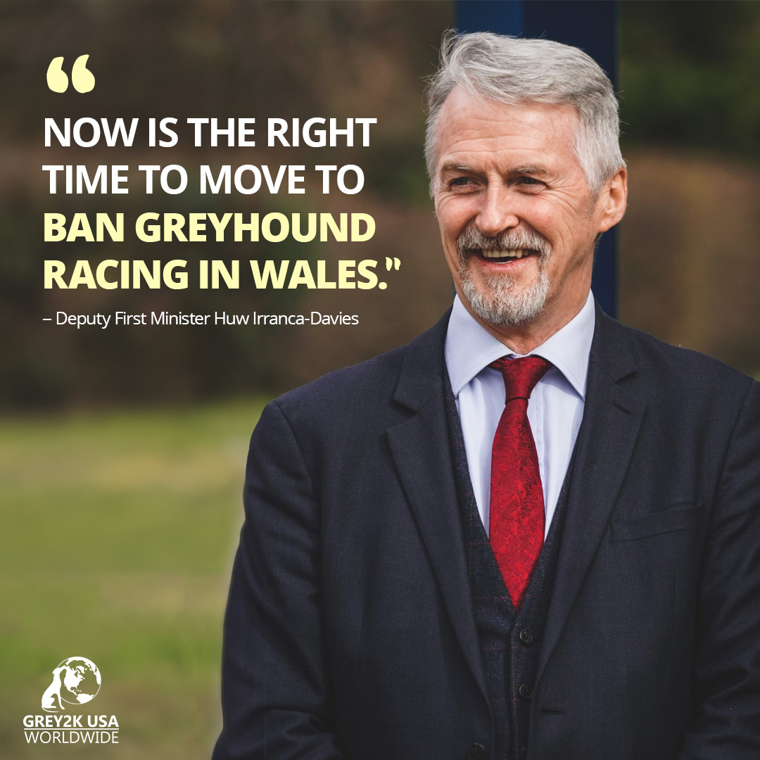 "We are moving forward with a ban on greyhound racing in Wales" - Huw Irranca-Davies MS, Deputy First Minister and Cabinet Secretary for Climate Change and Rural Affairs. #Wales #bangreyhoundracing

gov.wales/written-statem…