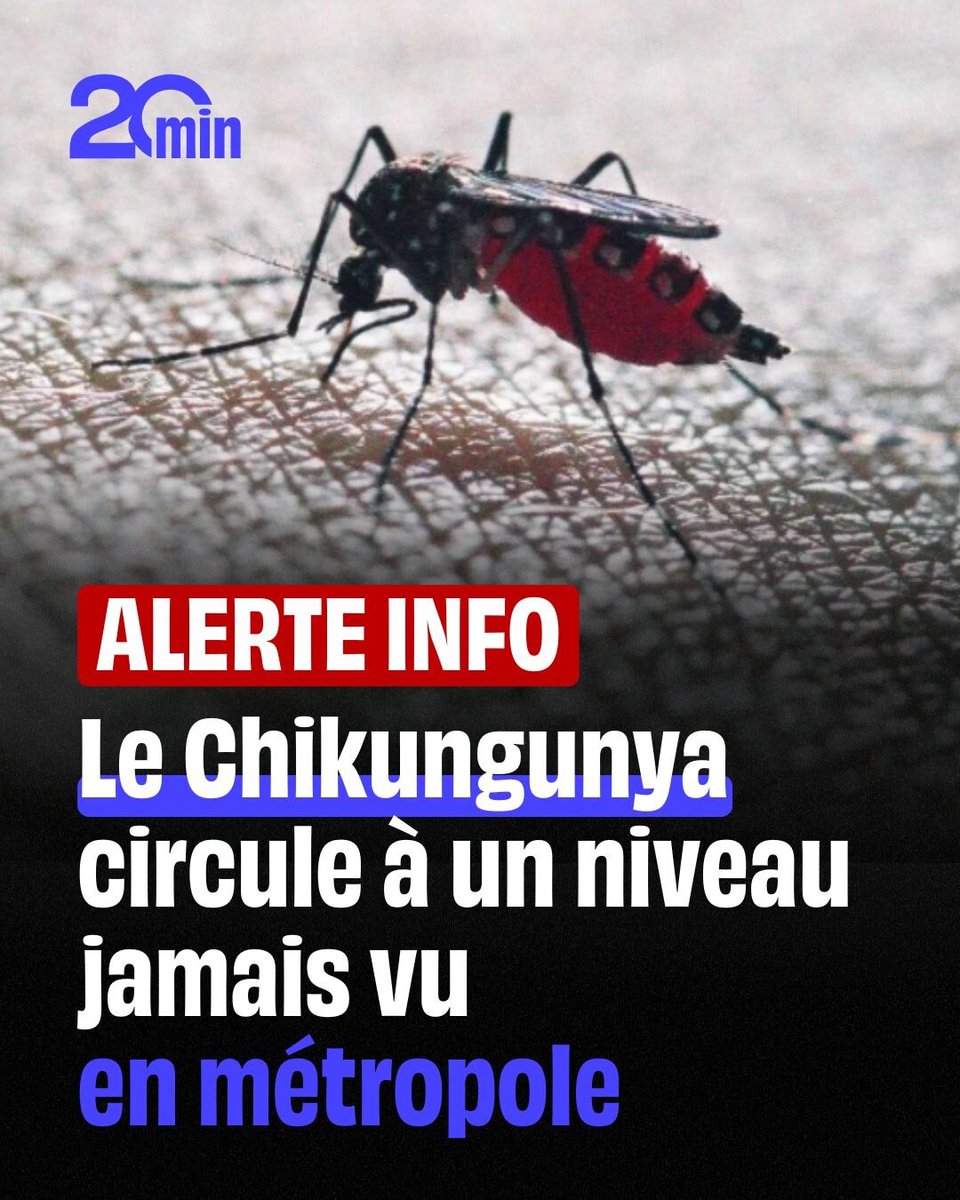 20Minutes's tweet image. 🔴 8 cas autochtones détectés ⚠️
➡️ 20min.fr/Lca