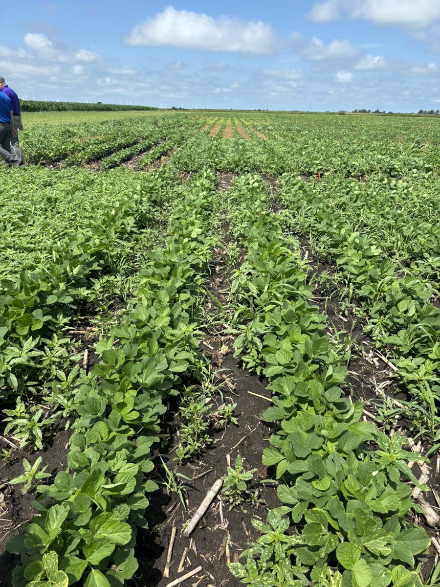 River Valley Coop Interns tweet media