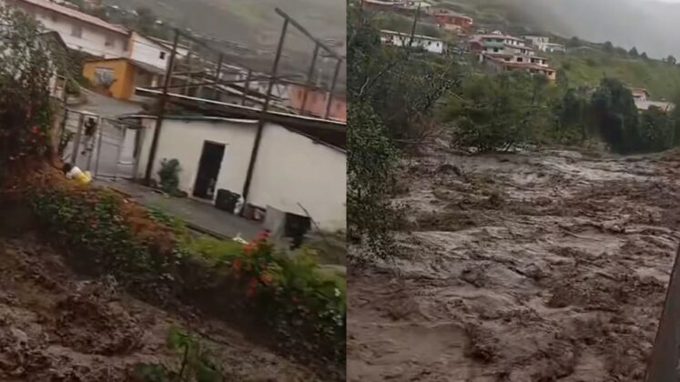 Más de 270 familias afectadas por las lluvias en Mérida
unionradio.net/mas-de-270-fam…