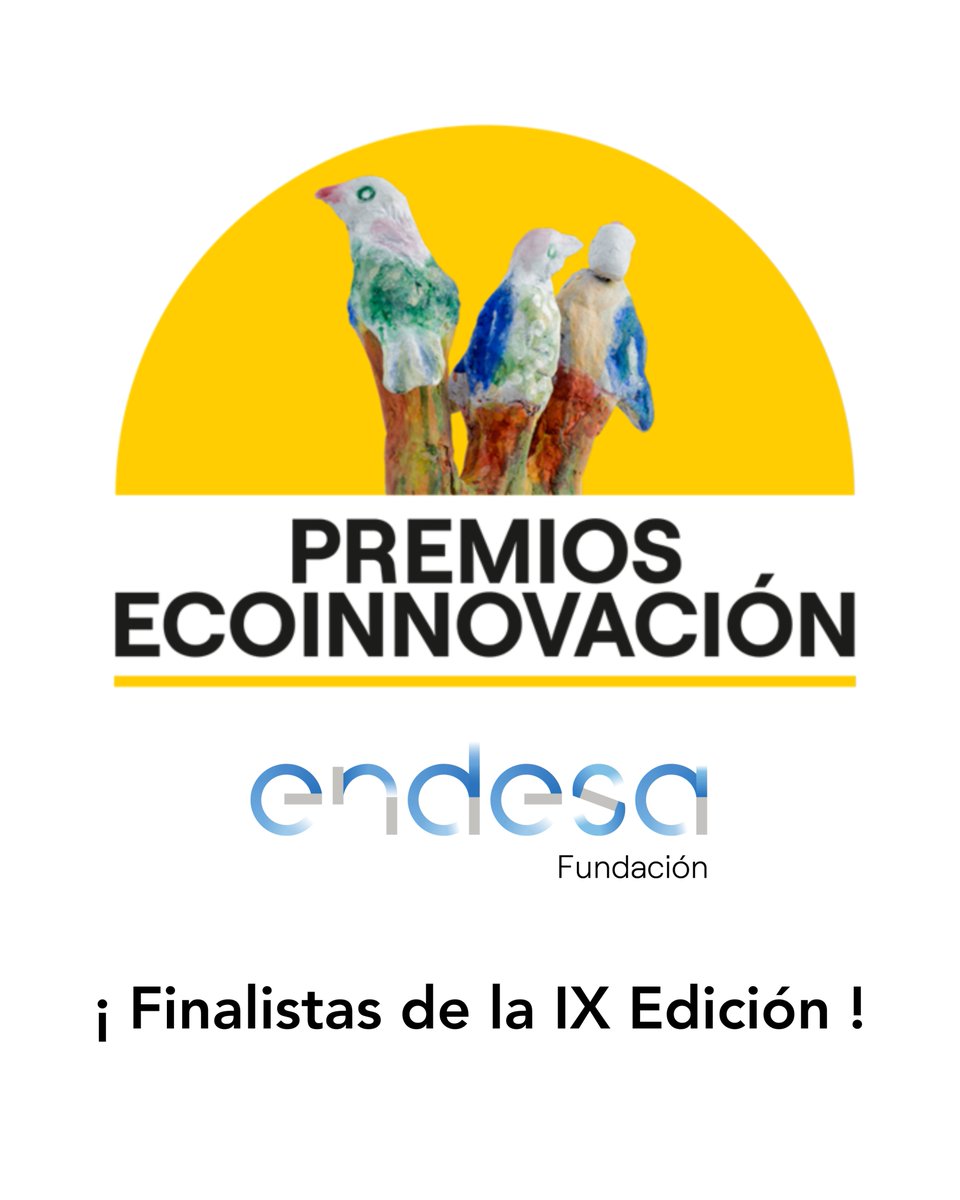 El proyecto "Urban Heat Islands and Pavements", de las alumnas de 6º Primaria Rosa Mº García Castilla, Isabel Villalta, Adriana Albisu, Leire Ibero, María Roa, Jinxi Pan, Marta Bayo, Amaya Recalde y Teresa Marco, finalista en los Premios a la Ecoinnovación de @fundacionendesa