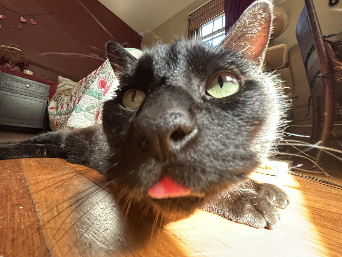 dale cooper tweet media