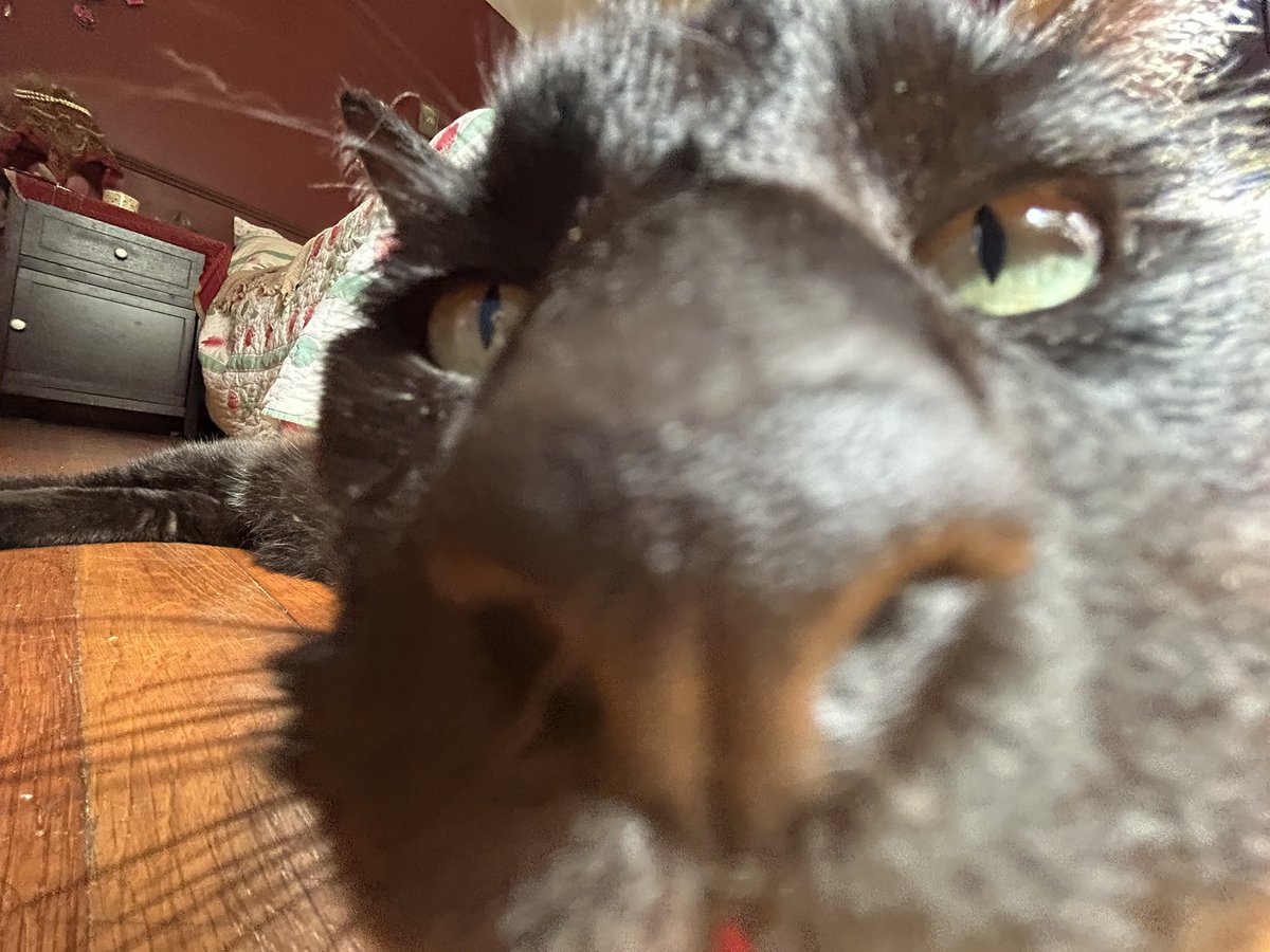 dale cooper tweet media