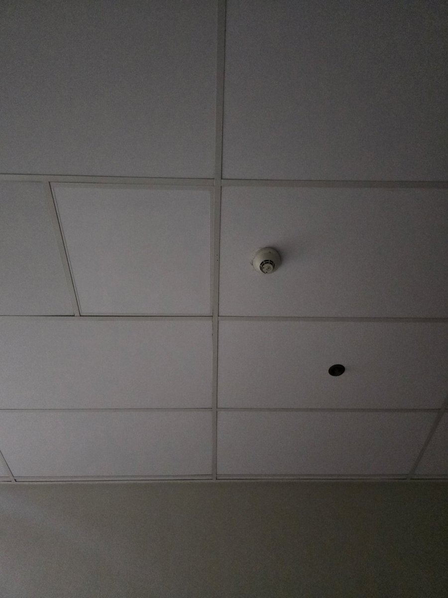 Ryndia🎙️🐑 VSinger tweet media