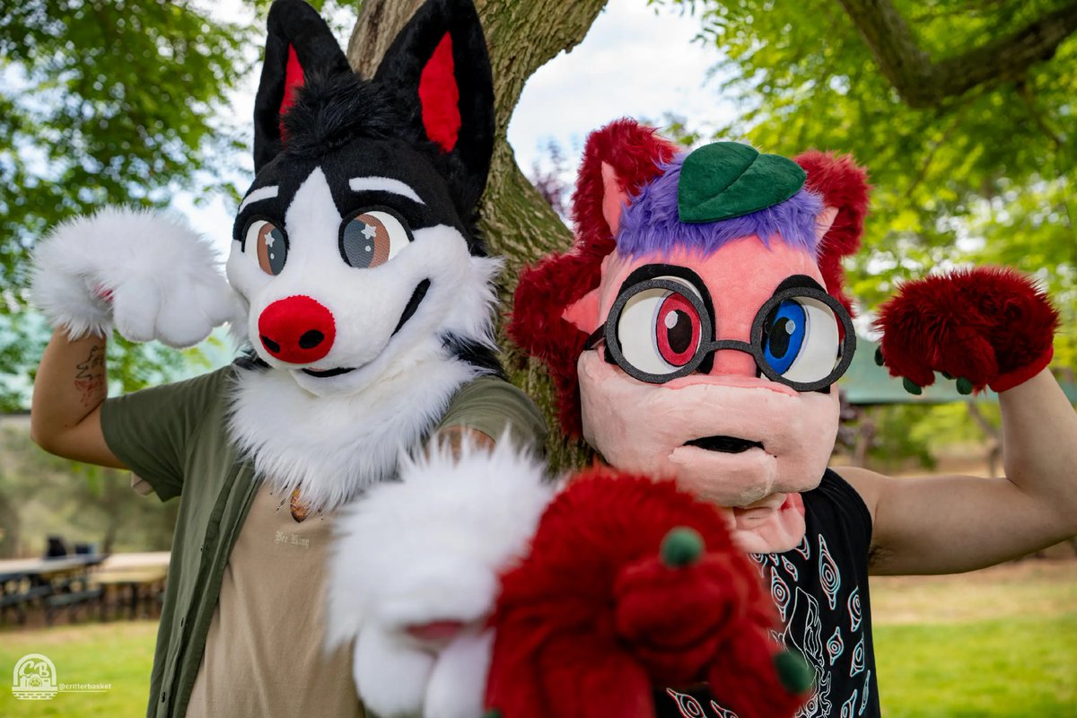 📷🦌- These two make the cutest pair of puppies you've ever seen! Neither land nor sea will keep these two apart.