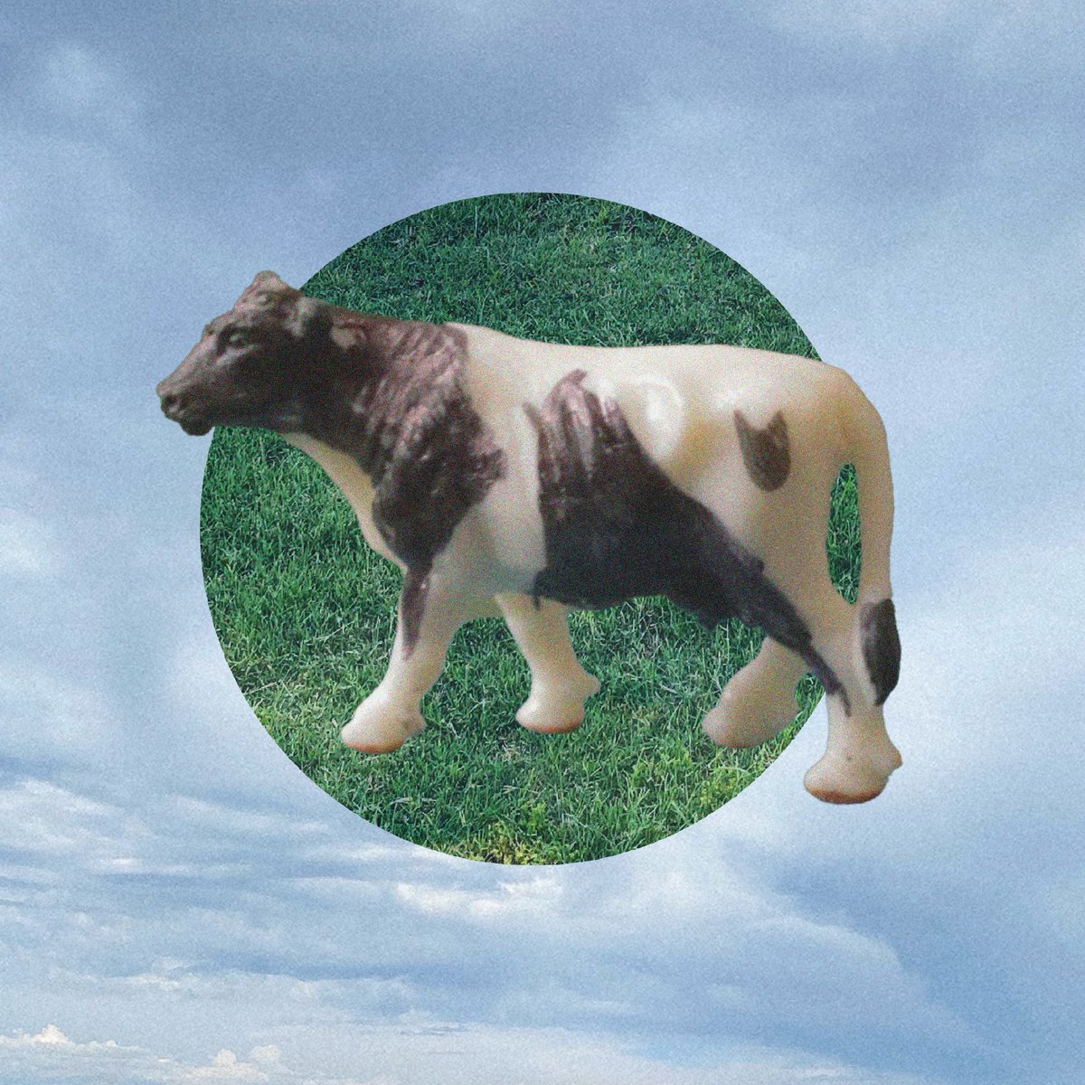 Sydney Sprague tweet media