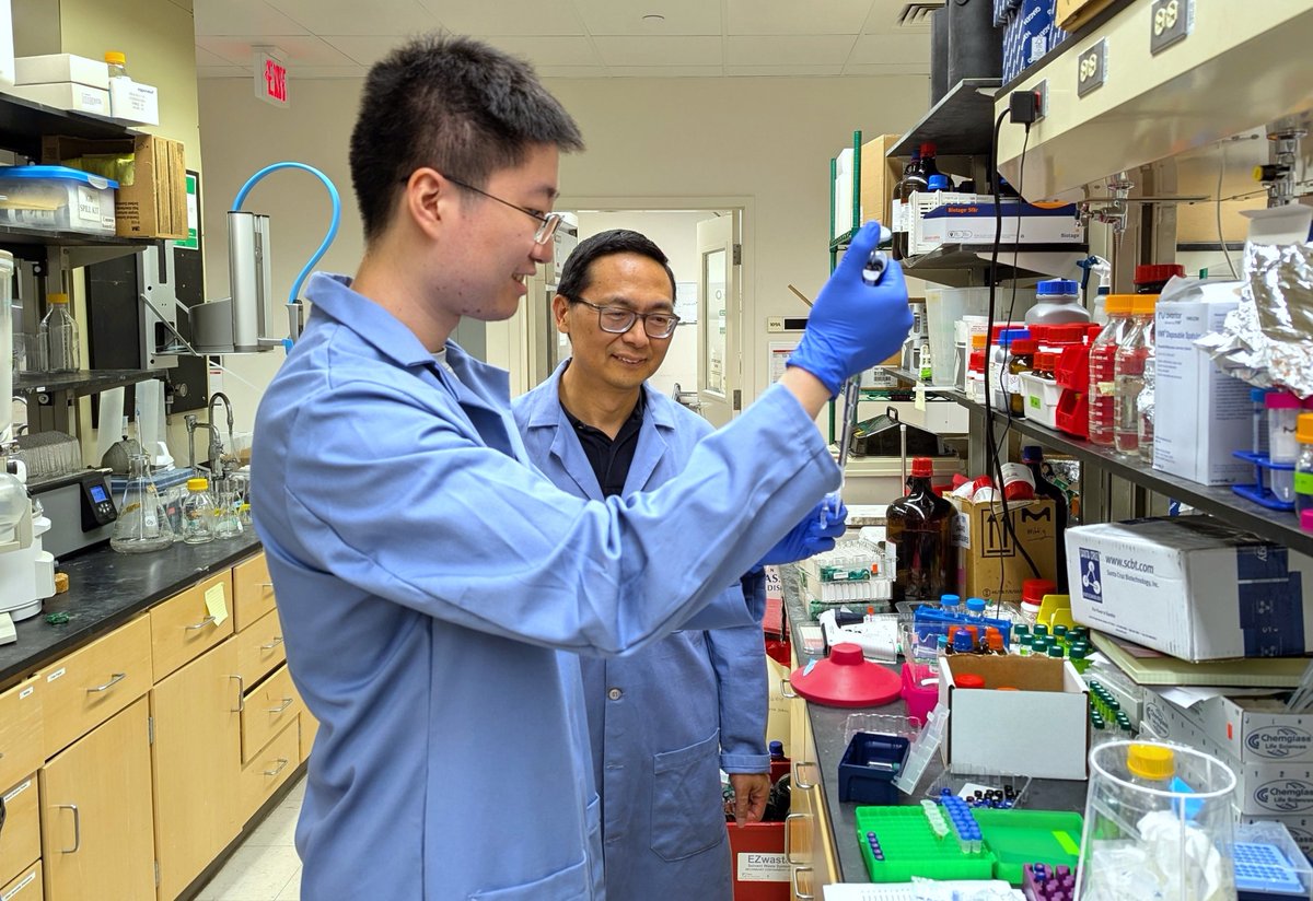 CABBIbio's tweet image. Using novel light-powered enzymes, CABBI researchers at @UofIllinois created a precise, cost-effective way to make chiral ketones, complex chemicals used in agrochemicals, medicines and other products.
News ➡️ cabbi.bio/using-light-po…
📰 @NatureCatalysis: nature.com/articles/s4192…