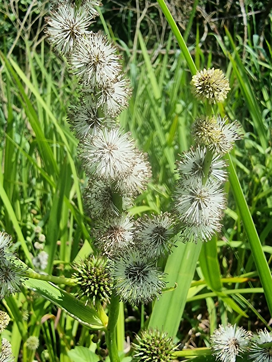 respecting nature tweet media