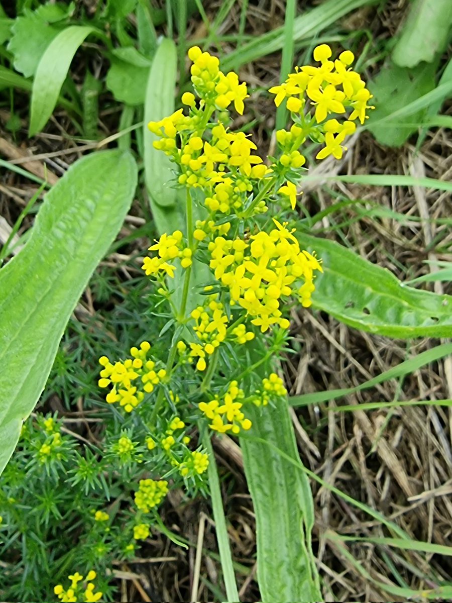 respecting nature tweet media