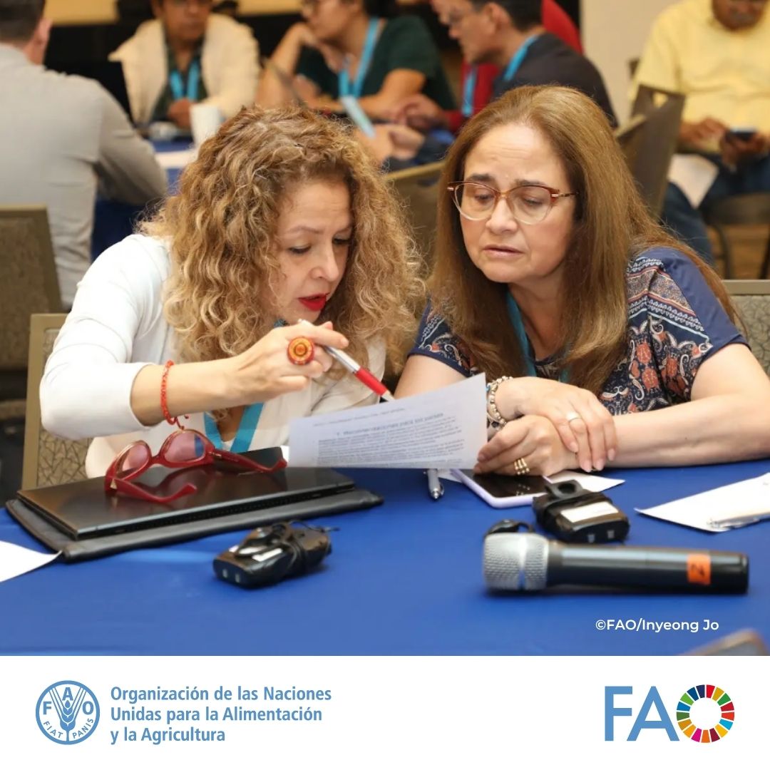 🌊 La FAO reunió en Panamá a más de 50 especialistas de 18 países de América Latina y el Caribe para promover las Directrices para la #AcuiculturaSostenible #FAO_DAS. Un paso clave hacia una producción de alimentos más sostenible, equitativa y resiliente.

bit.pulse.ly/6lnrrt7e7g