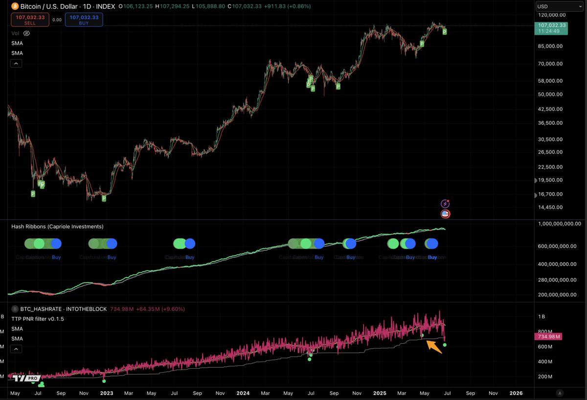 TradingParrot's tweet photo. Hash rate collapse = buying opportunity! ๐
While hash ribbons trigger at $68K, my signal fired at $57-58K.
Better timing on every major bottom.
Check out today's fresh signal
๐ฏ https://t.co/D2JlemPkCP
#BTCHashRate #BitcoinBuySignal #CryptoAnalysis #TechnicalAnalysis #BTC https://t.co/QXPnOFrijd
