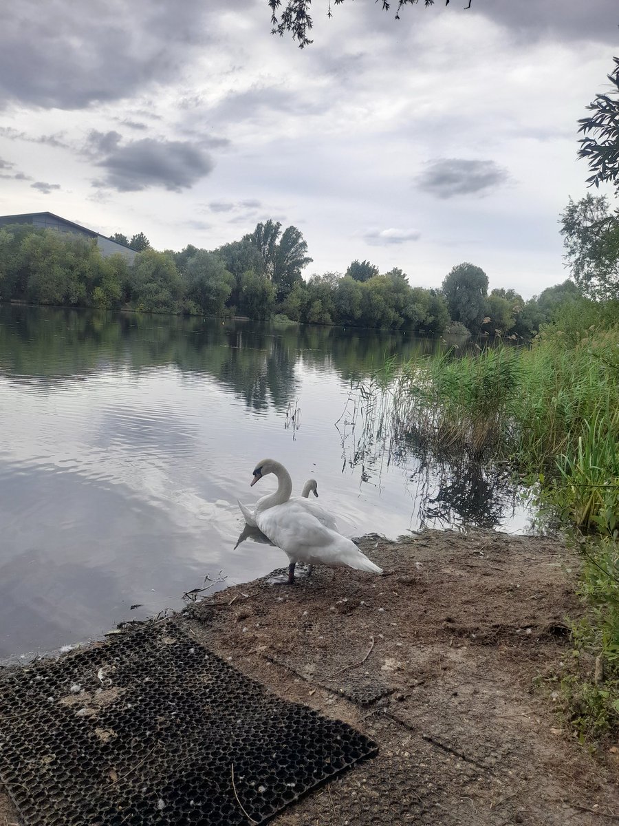 CMTwilley's tweet photo. Fantastic to be @MiltonCountryPk this evening, catching up with fellow trustees and meeting some of the brilliant team who run the park on a day-to-day basis. We're so lucky to have the park on our doorsteps https://t.co/vAr8kkiCd0