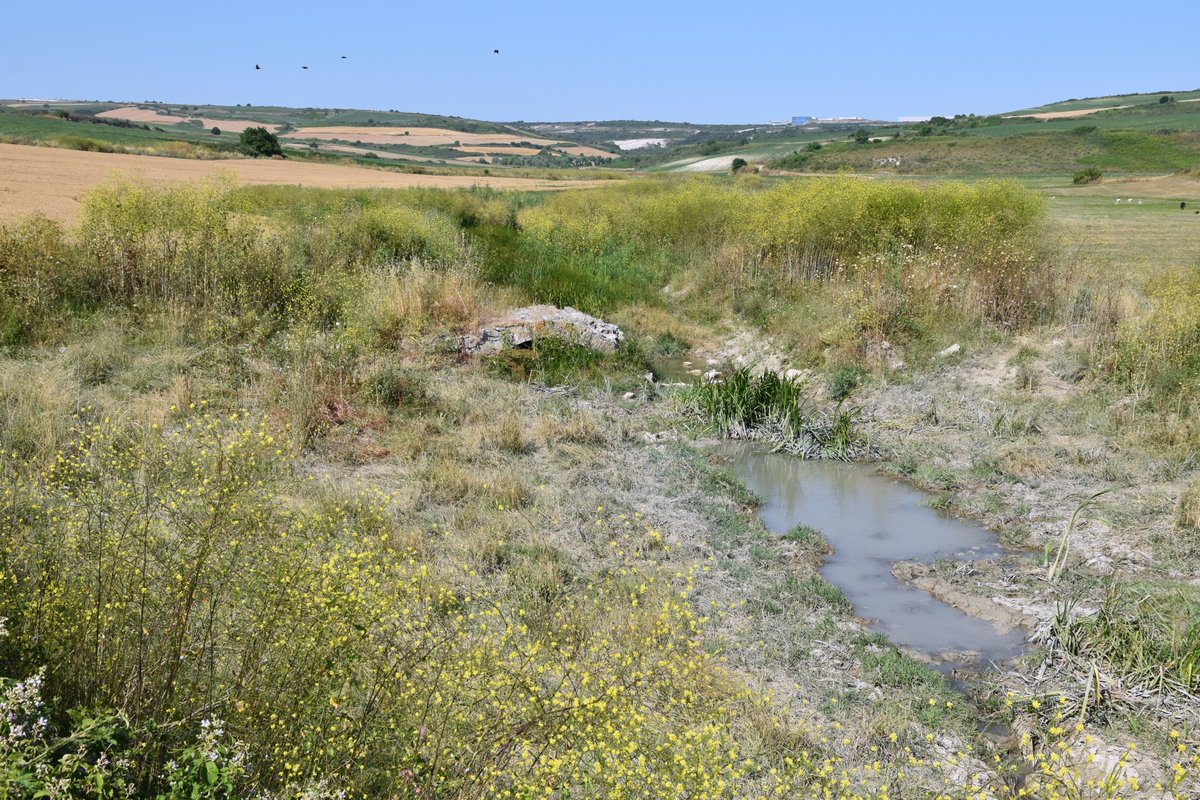 Photos of Byzantine Thrace this week
Yarımburgaz Cave (occupied in prehistory, later monastery), Byzantine marble at Büyükçekmece (historic Athyra), Ruins of fortress (possibly Justinianic castle of Episkopia) at Ahmediye, Ruins of bridge (possible Roman or Byzantine) near Nakkaş