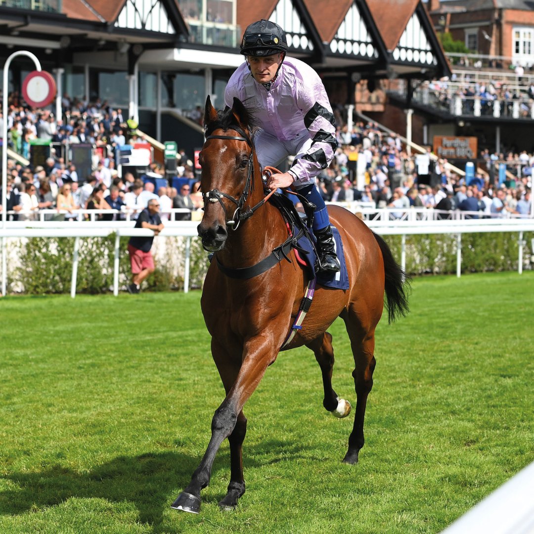 ownersgroupuk's tweet photo. Brave Knight under Callum Rodriguez. Were you at Chester to cheer him on?
#BraveKnight #OwnersGroup https://t.co/1iOPuM7OCJ