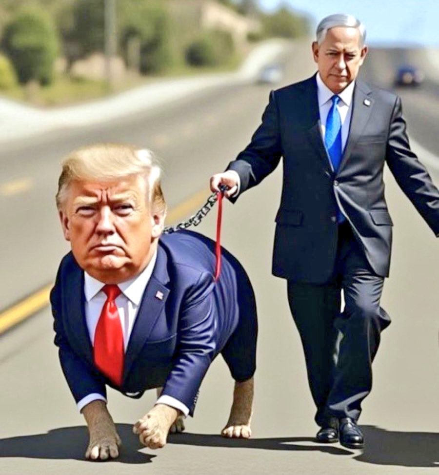 ErdemOzveren571's tweet photo. @realDonaldTrump https://t.co/BveOQe3y97
