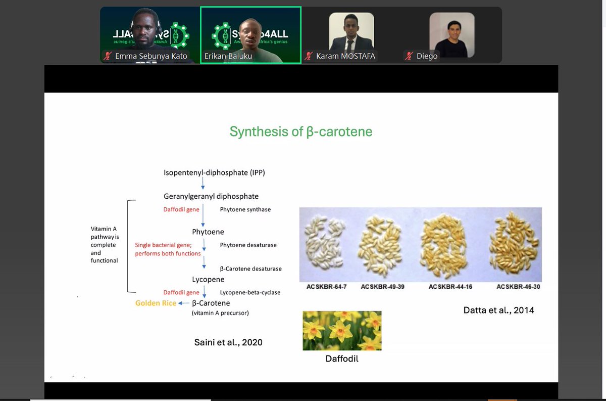 Synbio4allA's tweet image. Week 4 Plant Metabolic Engineering synbio4all.wixsite.com/synbio4all
completely non for profit, offering our services freely with a vision of making Africa grow in Synbio and other emerging technologies just like other continents though no many institutions in Africa promoting synBio.