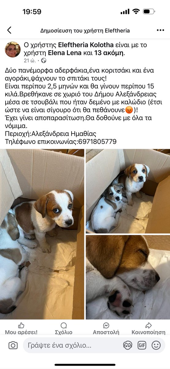 Βοηθήστε τα μωρά με υπεύθυνη υιοθεσία για να ξεφύγουν απο ένα δυσοίωνο μέλλον!