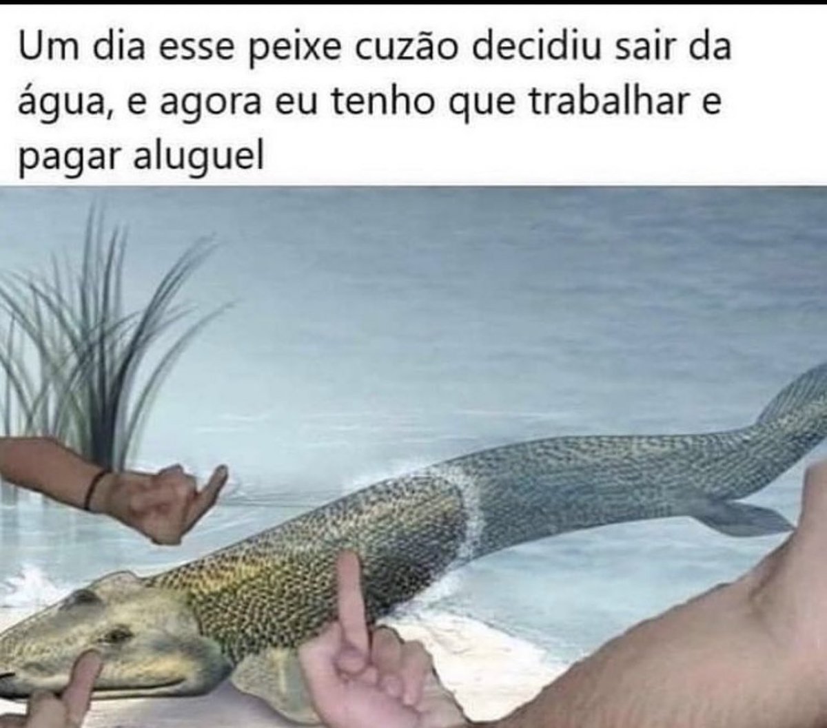 memeinteligente's tweet photo. https://t.co/bDXFNxewqR