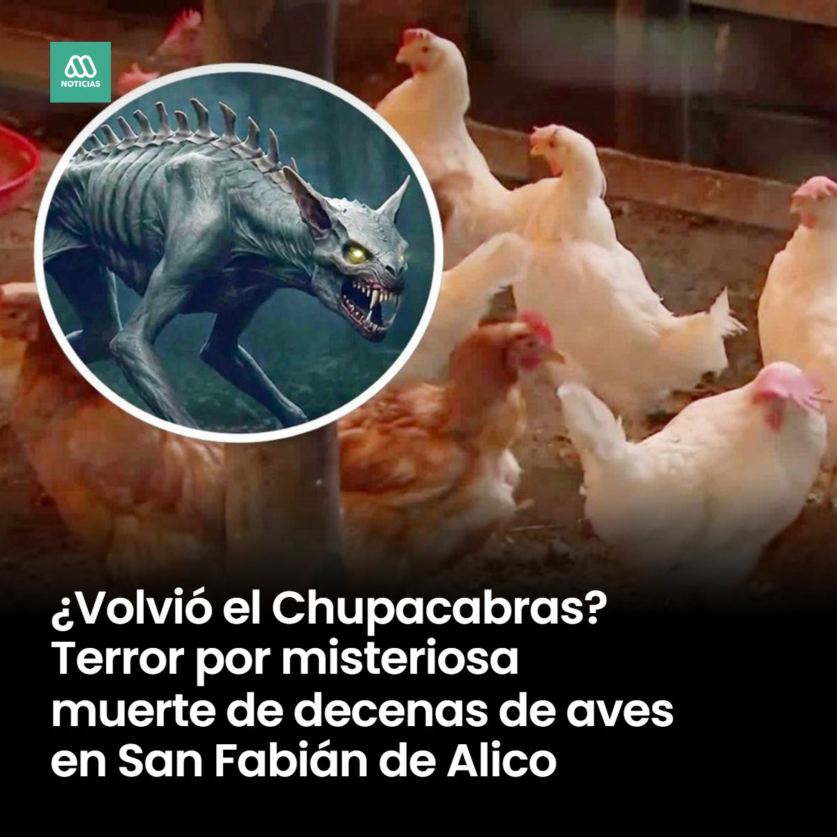 MI COLE, MI PEQUEÑO MUNDO: SCAPE CLASS O BREAKAOUT, image size:1200x1200