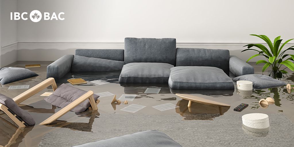 IBC_Atlantic's tweet image. How much would it cost to replace all the contents in your home? Knowing the answer could save you stress in the event of a claim. While #SpringCleaning this year, don’t forget to create/update your home inventory. Learn more: ow.ly/wAHH50WgbRT #SpringSafety