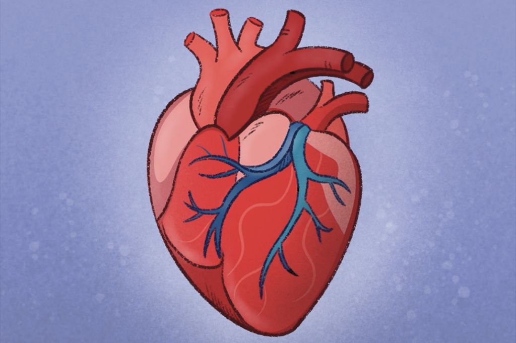 Our dedicated cardiovascular disease resource hub has been organised into categories to ease your navigation around this comprehensive content collection. You can also take our self-assessment quiz to test your knowledge.

#CVD #cardiohealth #heartdisease 
pharmaceutical-journal.com/cardiovascular…