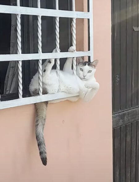 EmmaFleurot Parker🇦🇷 🇧🇪🧉🐾🍁🍂🐿 (@emmafarrjar) on Twitter photo 