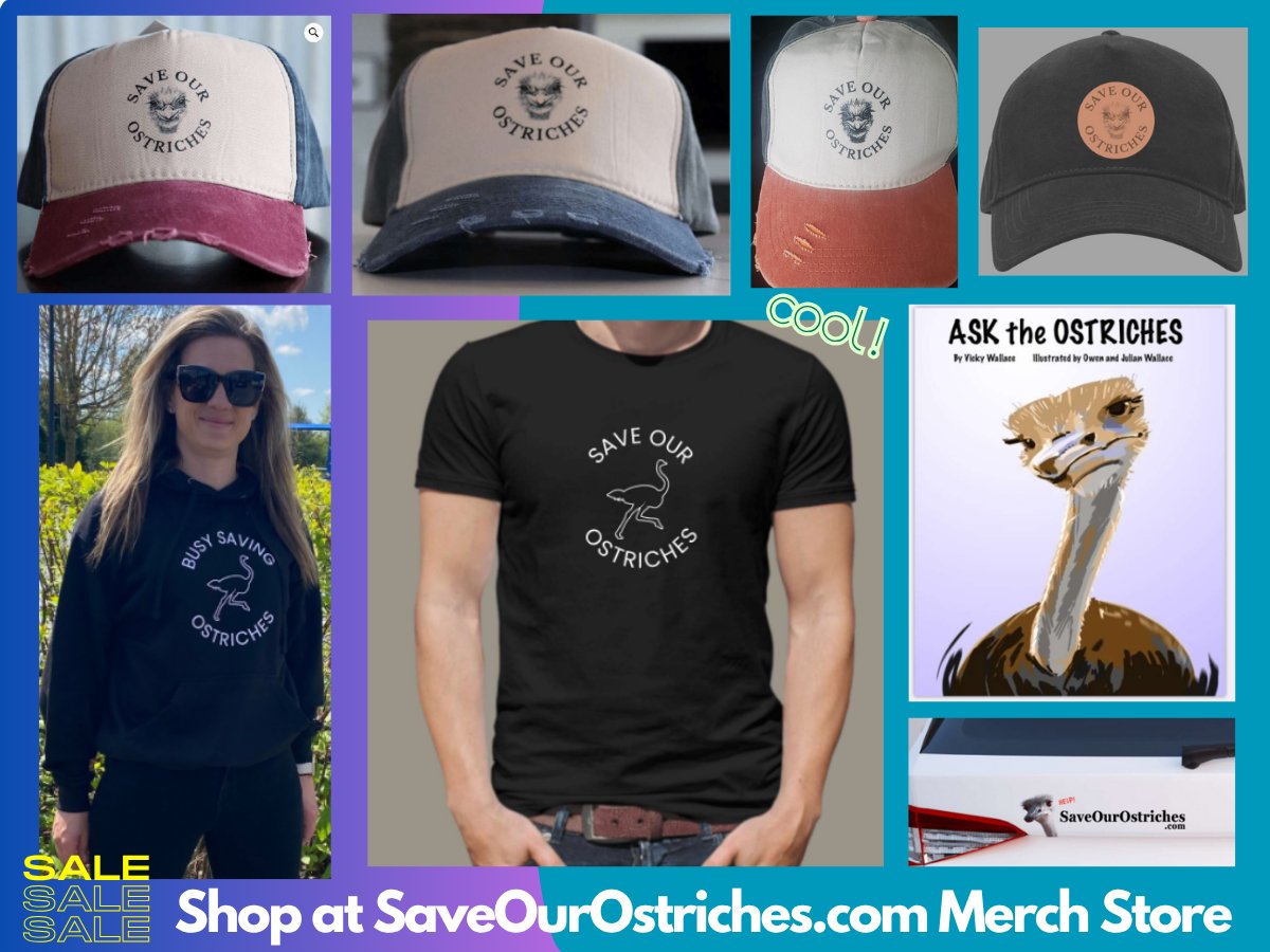 Thanks for all of your merch requests. There is new stock in!
Please visit the online store.
saveourostriches.com/e-store
Stay cool 🤠Thank you!!
#saveourostriches #stopgovernmentoverreach
