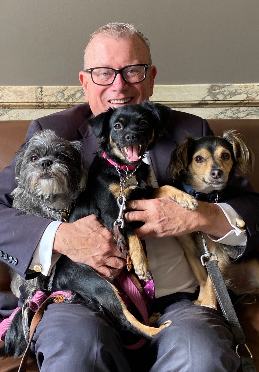 And then, I woke up this morning and am 65 years old. I feel 25 and don't have an ache or pain in my body. This pack will keep me feeling young by keeping me in motion! Left to right: Nelly, Bootsie and Lucky.