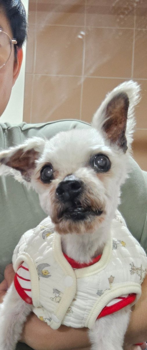 最後一緒に撮ったの写真だ....
bye bye 波子😘