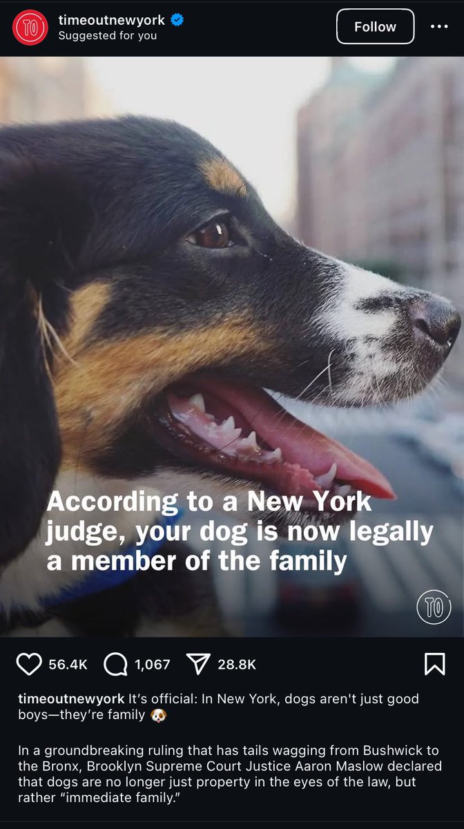VioletL_Phoenix's tweet image. PSA:
In NEW YORK,
Your Dog is now LEGALLY, 
a Member of the Family

#NewYorkDogs #DogsOfNewYork #Dog #DogLover  #DogOwners
