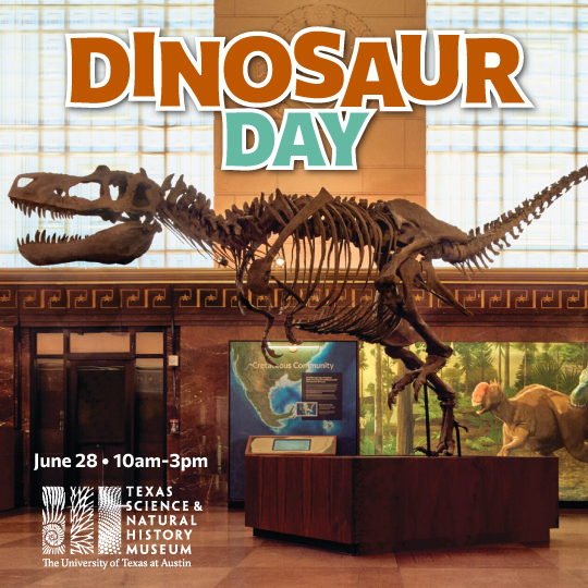 austinpbs's tweet image. Join the @TXSciNatHisMus for Dinosaur Day and step into a world of prehistoric fun at the brand-new Discovery Center!🦕
🦴 Meet a real paleontologist and have your fossils identified on the spot
🦖 Check out the 33-foot cast of a tyrannosaur skeleton
🛍️ Get 20% off dinosaur…