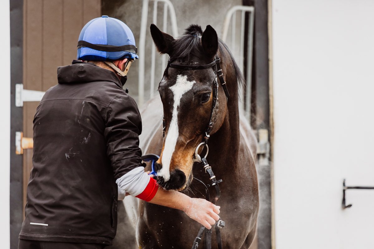 Hambleton Racing (@hambletonracing) on Twitter photo Celebrating all of the hardworking racing staff this #RacingStaffWeek🤩
A big thank you to all the dedicated stable staff who care for our horses year-round in all weathers!☔️☀️
<a href="/Racingwelfare/">Racing Welfare</a> Celebrating all of the hardworking racing staff this #RacingStaffWeek🤩
A big thank you to all the dedicated stable staff who care for our horses year-round in all weathers!☔️☀️
<a href="/Racingwelfare/">Racing Welfare</a>