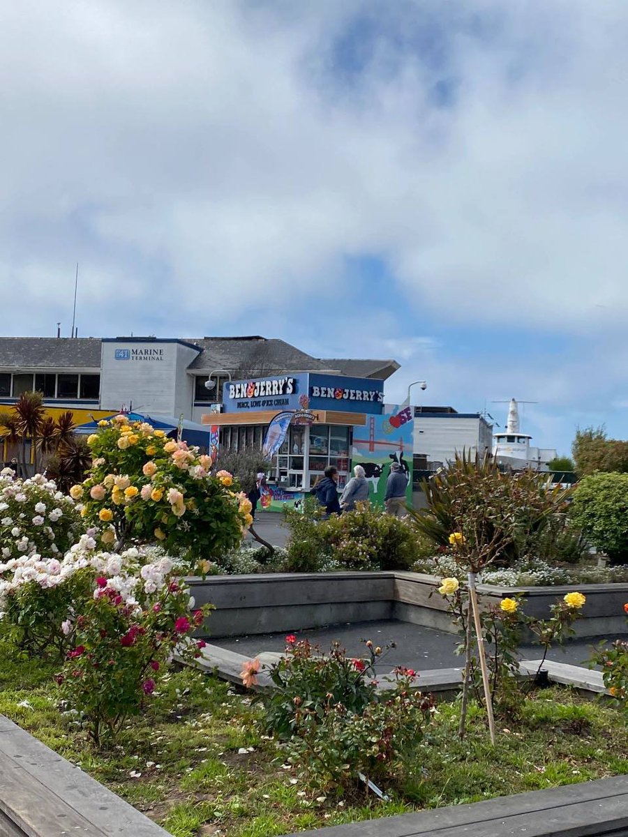 AndrewCall_1's tweet image. 