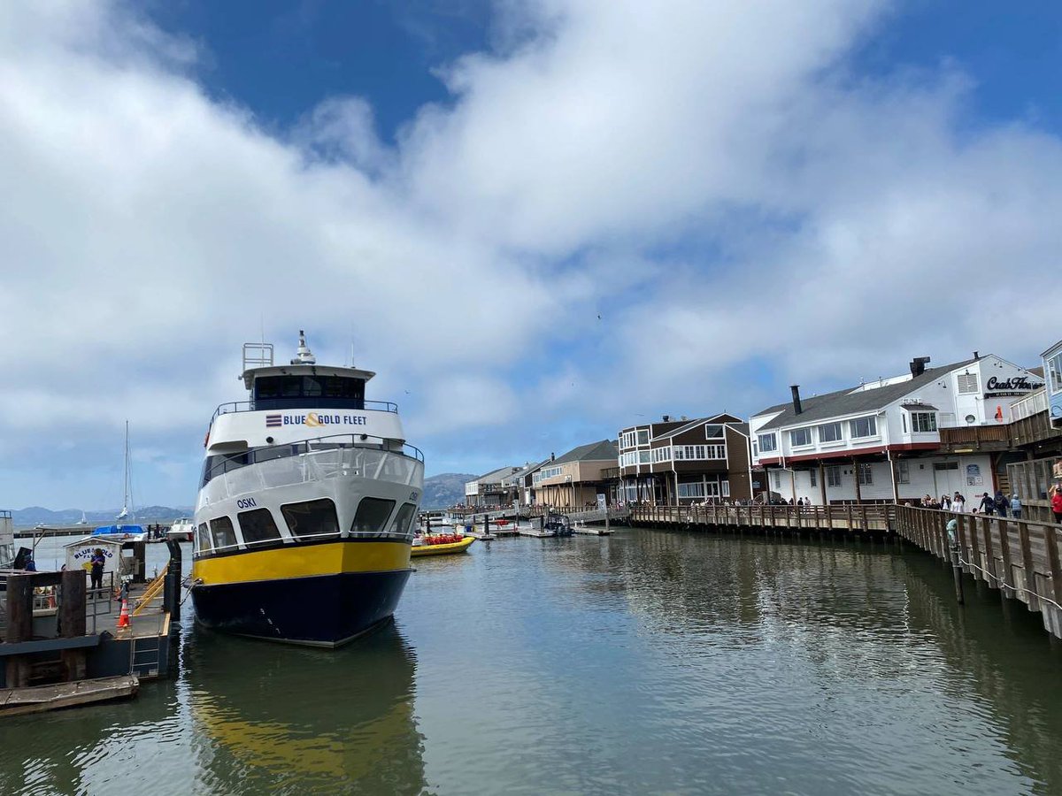 AndrewCall_1's tweet image. 