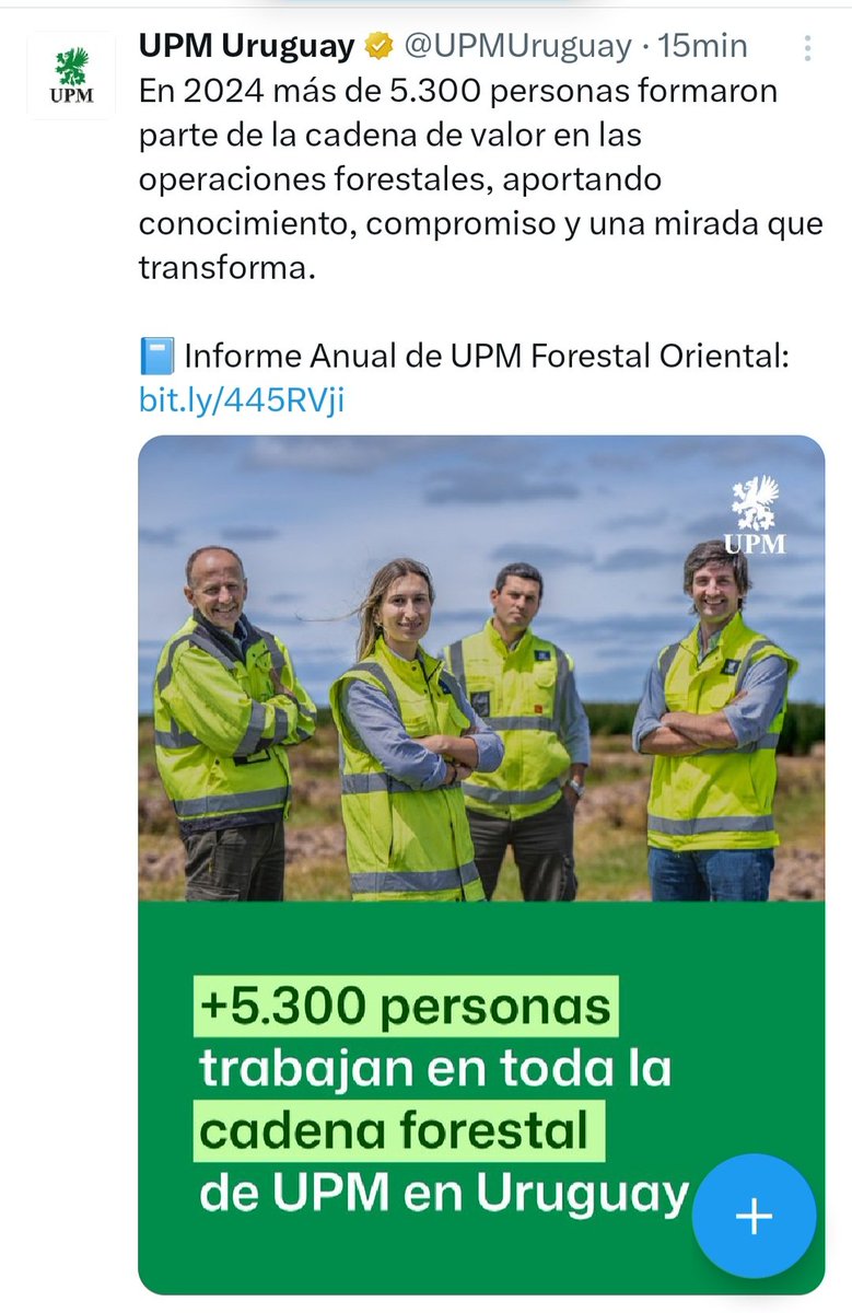 UPM 1 prometía 6.000 empleos
UPM 2 10.000 más.
Reconocen que "5.300 personas trabajan en TODA la cadena forestal"
Mientras tanto los uruguayos pagamos US$ 500.000 por día por el TREN DE UPM.
Suficiente para pagar jornales de  US$ 100 diarios a esas personas US$ 3.000 mensuales.