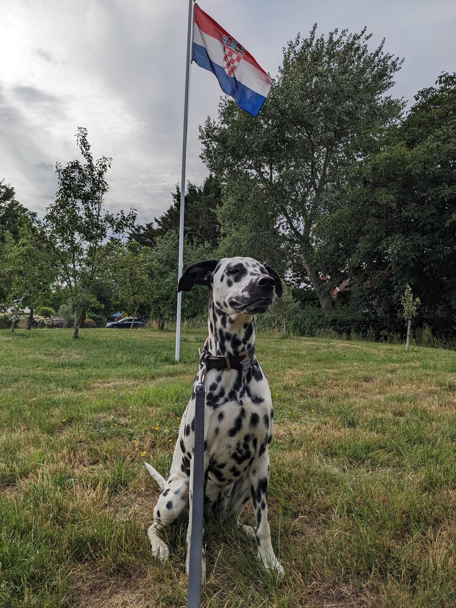 #croatia independence day 🇭🇷 Celebrated by our very local Croatian community 🐾

 #danneovisnosti