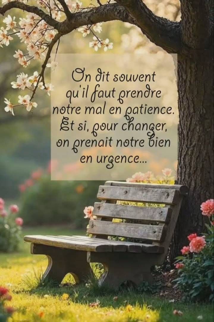 De passage pour vous souhaiter une belle soirée 🌠🌠
Espérant tout se passe bien pour vous.. prenez soin de vous et kiffez la vie 😉😊
Des bisous 😘 a plus tard... #ligue_des_optimistes