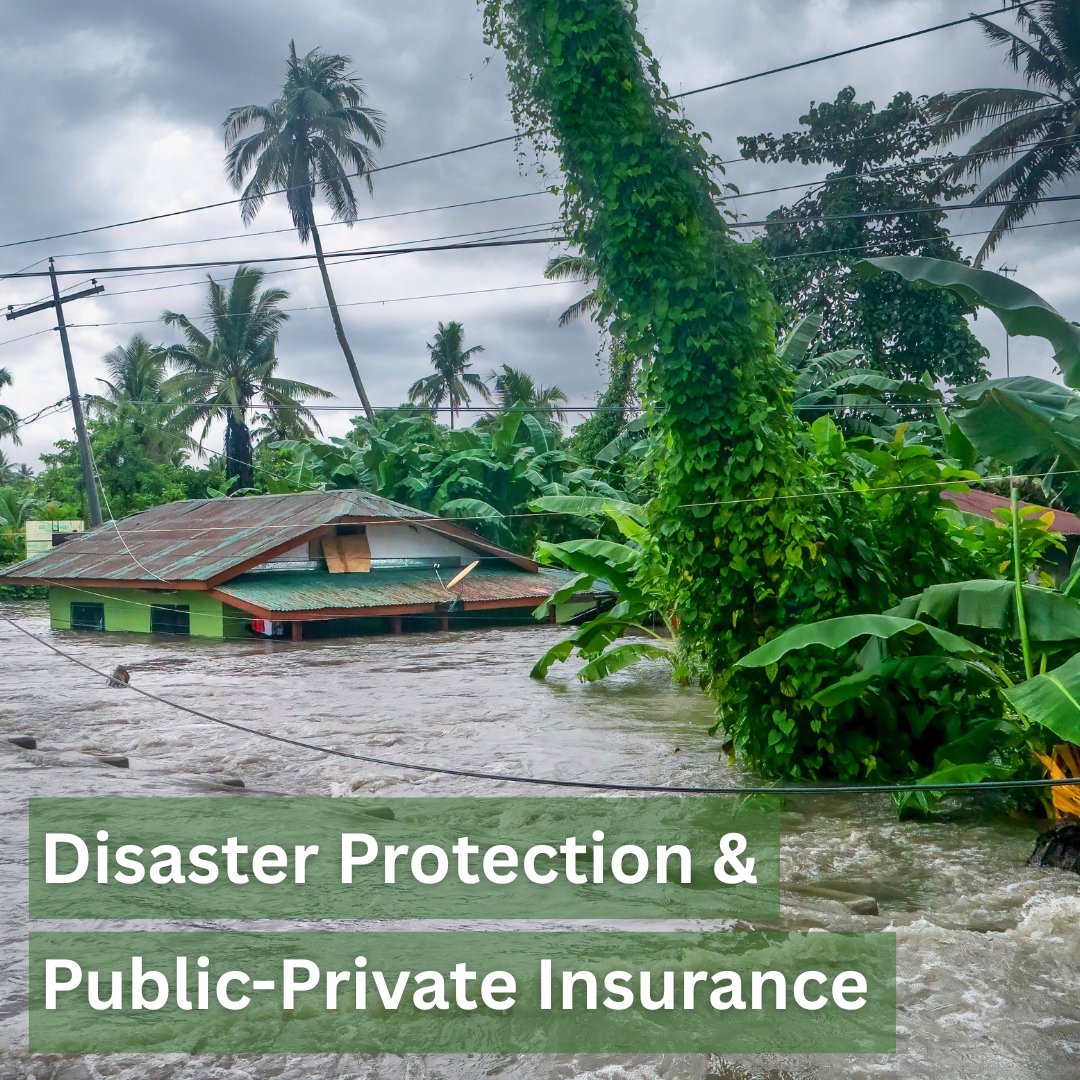 WBG_ClimateEnv's tweet photo. Developing countries face tough choices: protect today while investing for tomorrow. Public-Private Insurance Programs (PPIPs) can bridge the gap, enhancing resilience and safeguarding lives. Discover insights from a new World Bank paper: https://t.co/kle7j9Ym4a #DRFI https://t.co/UGkE18S34v