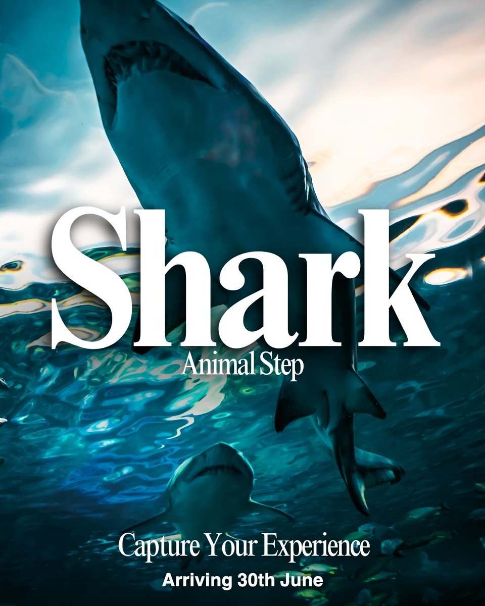 A bucket list experience like no other! 🦈 The Shark Animal Step lands at 🌍 El Camino next Monday! Whether you’ve seen these powerful creatures or dream of it, 🤞 this Step celebrates the 💙 incredible species AND supports habitat conservation. 🫶