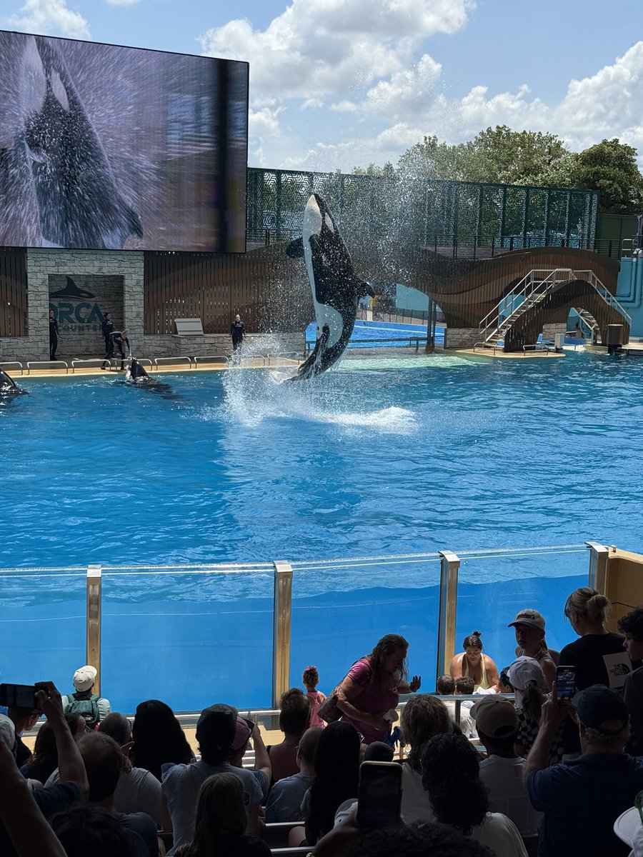 barberdave31's tweet photo. @SeaWorld  Thank You for giving Veterans tickets to Enjoy Sea World ‼️‼️Had a WONDERFUL EXPERIENCE TODAY ‼️‼️ With Family and Friends ‼️‼️ Thank You Sea World ‼️ https://t.co/MqLVd63G22