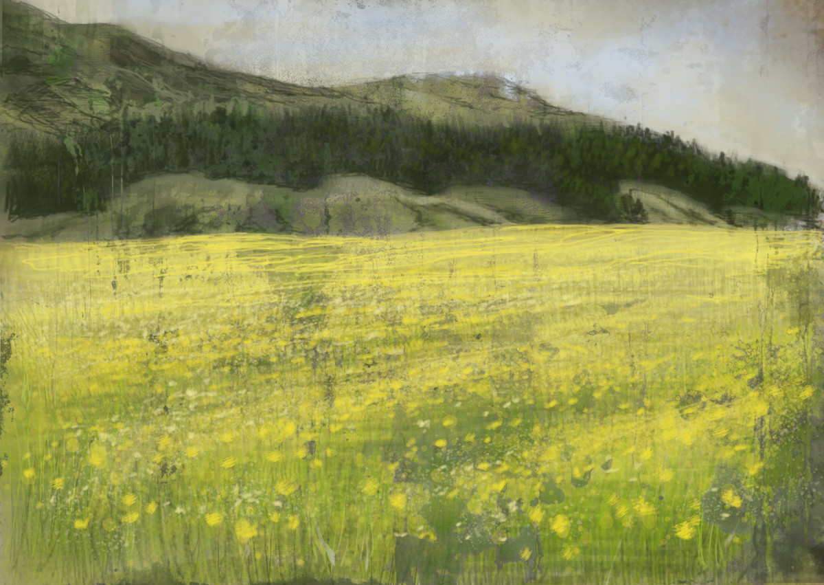 Work in progress, 
Digital sketch,
from my walk in Borrowdale the other day
