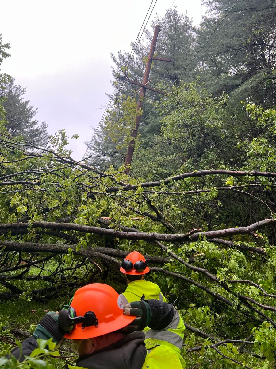 RGandE's tweet image. 🌳 12,000+ danger trees removed.
💰 $90M+ invested in 2024.
⚡ Fewer outages. Safer service.
We’re taking big steps to protect our grid and the communities we serve — and we’re just getting started.
Read the full story: ow.ly/QImi50Wghak