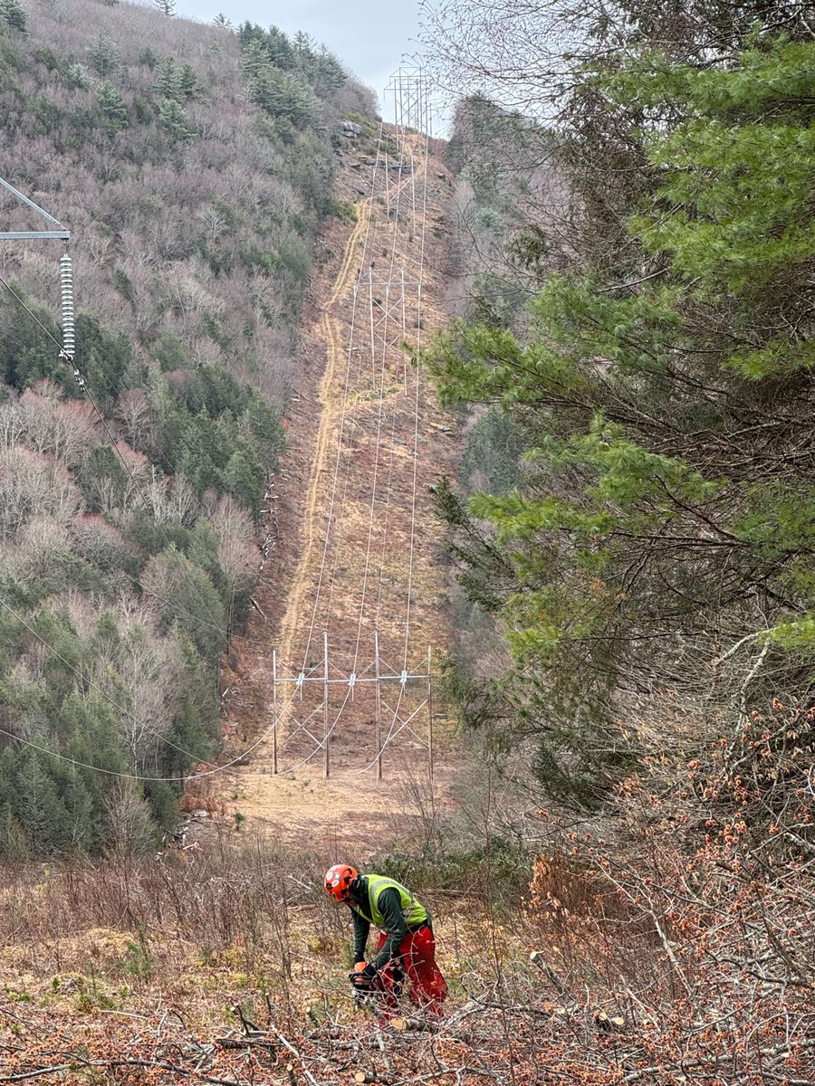 RGandE's tweet image. 🌳 12,000+ danger trees removed.
💰 $90M+ invested in 2024.
⚡ Fewer outages. Safer service.
We’re taking big steps to protect our grid and the communities we serve — and we’re just getting started.
Read the full story: ow.ly/QImi50Wghak