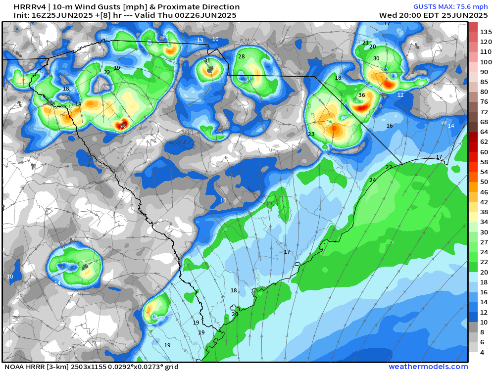 There is a level 3 out of 5 risk for severe thunderstorms today and tonight in the Carolinas and Georgia, with the main risk being severe wind gusts. Here is a forecast scenario from a recent HRRR run for 8 PM tonight, with the model also simulating thunderstorm wind gusts.

TT