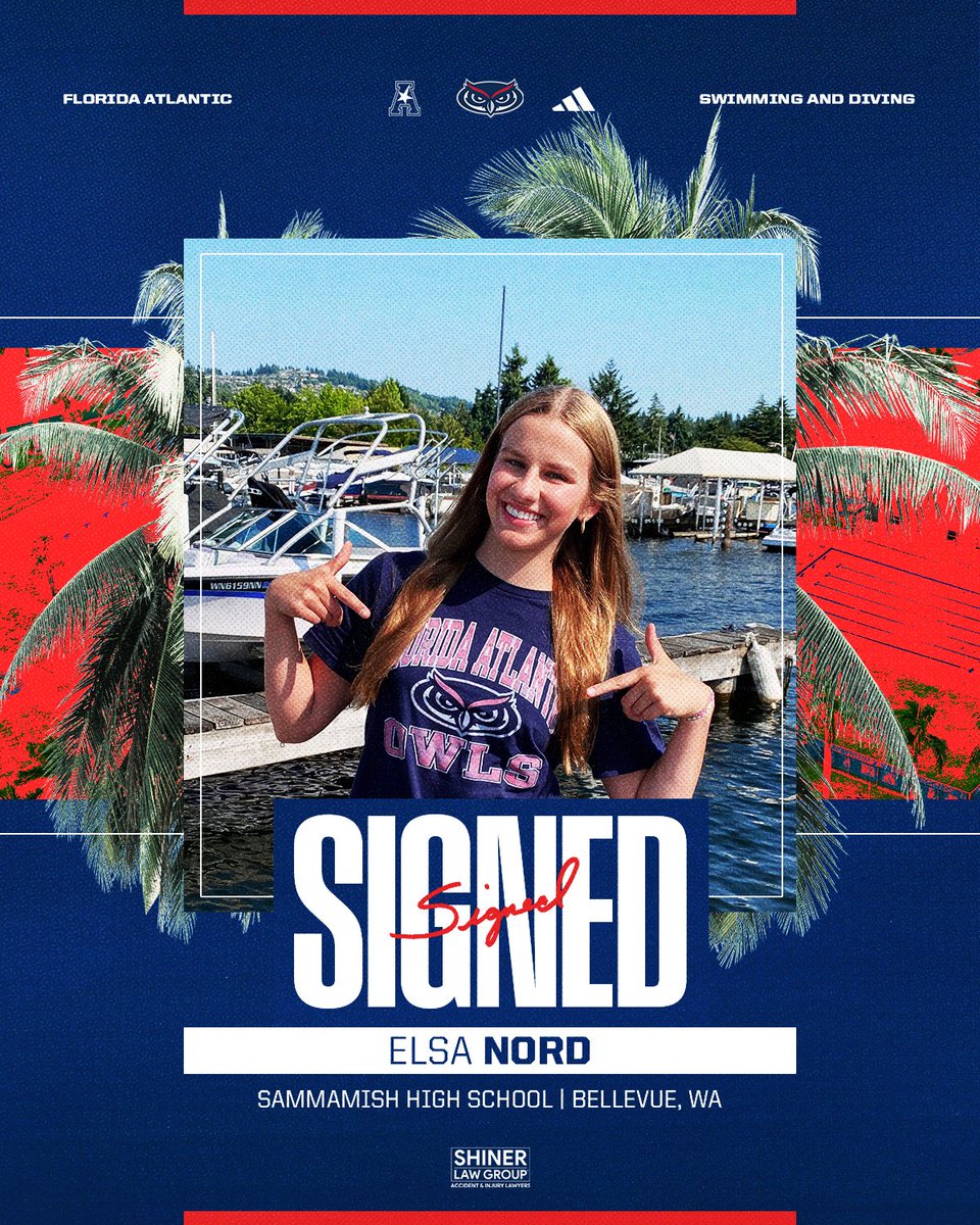 Time to welcome Elsa to Paradise 🦉 

✍️ Elsa Nord
📍 Bellevue, Washington

#WIP🏝️ | #NSD25
