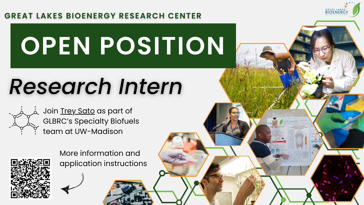 A Research intern position in Trey Sato's lab is open and taking applications!

The goal of Sato’s lab is to engineer yeast to efficiently convert biomass to #biofuels. If interested, please follow the link below and apply by 7/11. 

More details: glbrc.org/about/job-oppo…