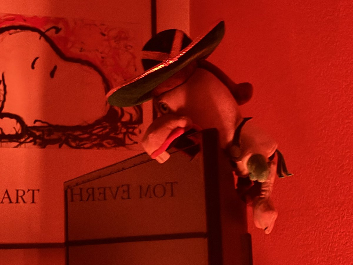 I saw this just before I went to bed... The way he was looking right at me 0_0